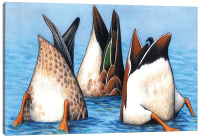 Duck Butts Canvas Art Print - Bathroom Humor Art