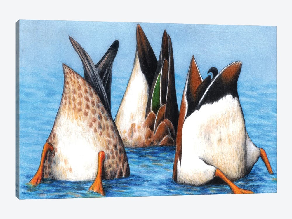 Duck Butts by Don McMahon 1-piece Canvas Art Print