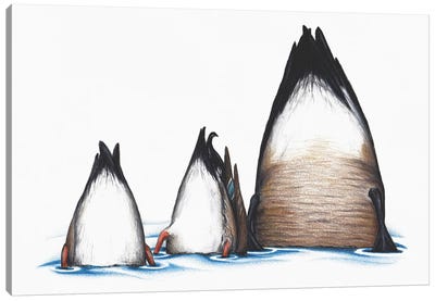 Duck Duck Goose Canvas Art Print - Don McMahon