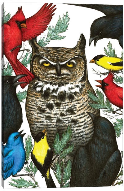 Angry Birds Canvas Art Print - Don McMahon
