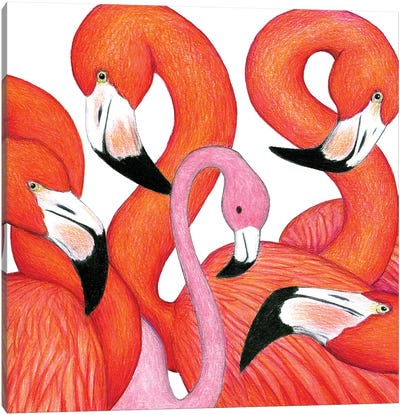 Get Real Canvas Art Print - Flamingo Art