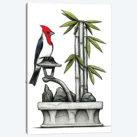 Hawaiian Red Crest Canvas Print #DMH46} by Don McMahon Art Print