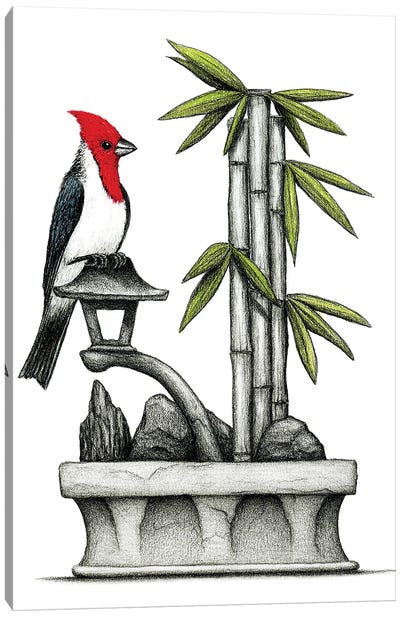 Hawaiian Red Crest Canvas Art Print - Cardinal Art