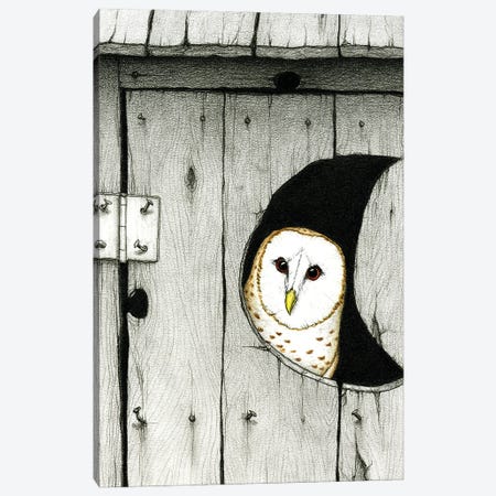 Hoo Tooted Canvas Print #DMH47} by Don McMahon Canvas Print