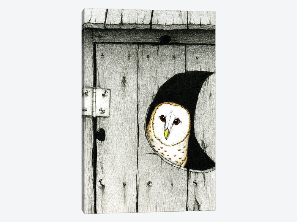 Hoo Tooted by Don McMahon 1-piece Canvas Art
