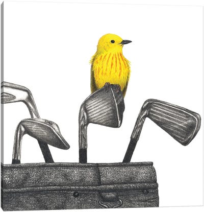 Iron Warbler Canvas Art Print - Gray & Yellow Art