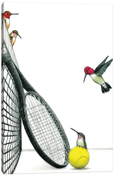 Mixed Doubles Canvas Art Print - Hummingbird Art