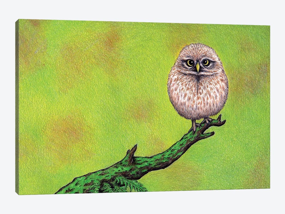 Owl On A Limb by Don McMahon 1-piece Canvas Art Print