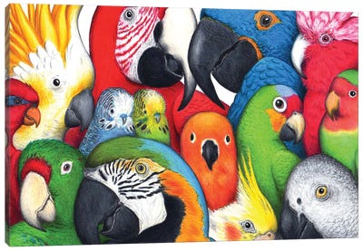 Parrotheads Canvas Art Print - Parrot Art