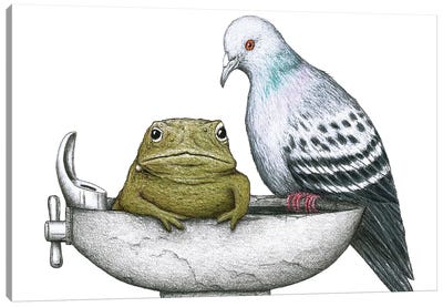 Pigeon Toad Canvas Art Print - Friendship Art