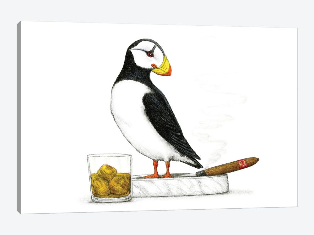 Puffin by Don McMahon 1-piece Canvas Print