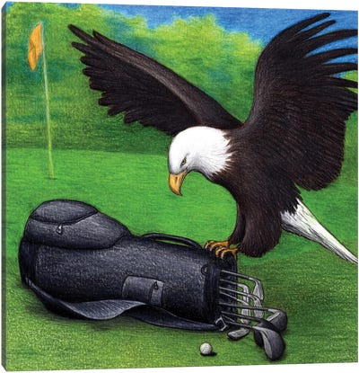 The Eagle Has Landed Canvas Art Print - Don McMahon