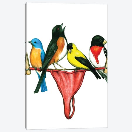 Thong Birds Canvas Print #DMH94} by Don McMahon Canvas Artwork