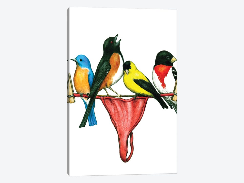 Thong Birds by Don McMahon 1-piece Canvas Art