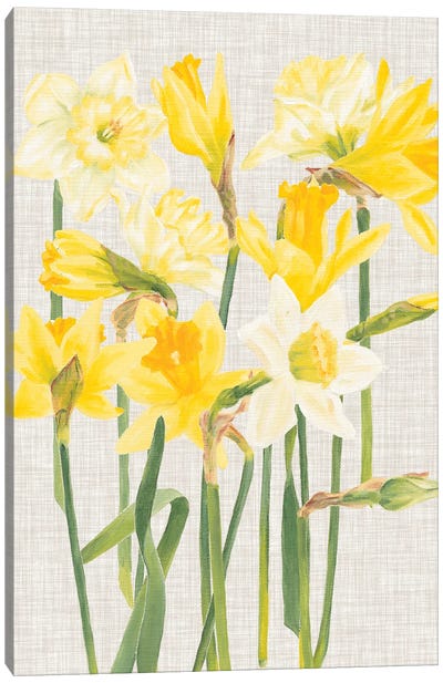 April in Paris I Canvas Art Print - Daffodil Art