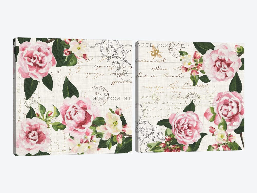 Ephemeral Roses Diptych by Dianne Miller 2-piece Canvas Art