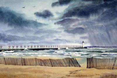 The Visitor by Diana Miller-Pierce art print