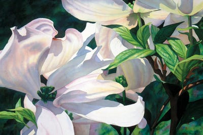 Valse I by Diana Miller-Pierce art print