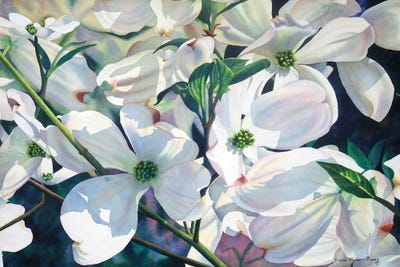 Valse II by Diana Miller-Pierce art print