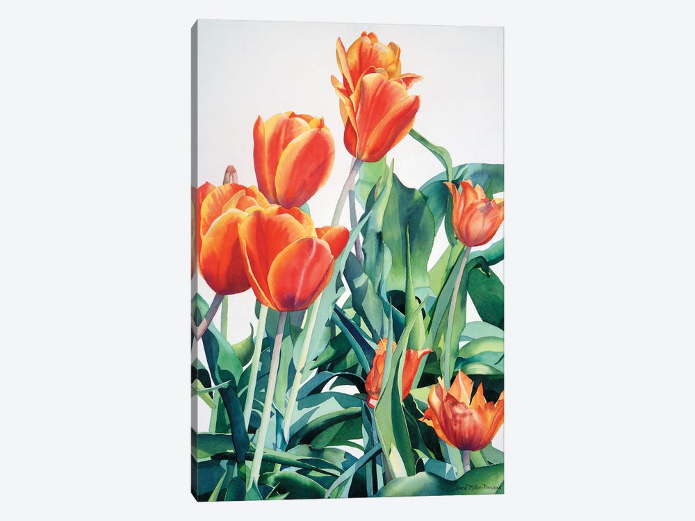 What About Those Crazy Tulips by Diana Miller-Pierce 1-piece Canvas Wall Art