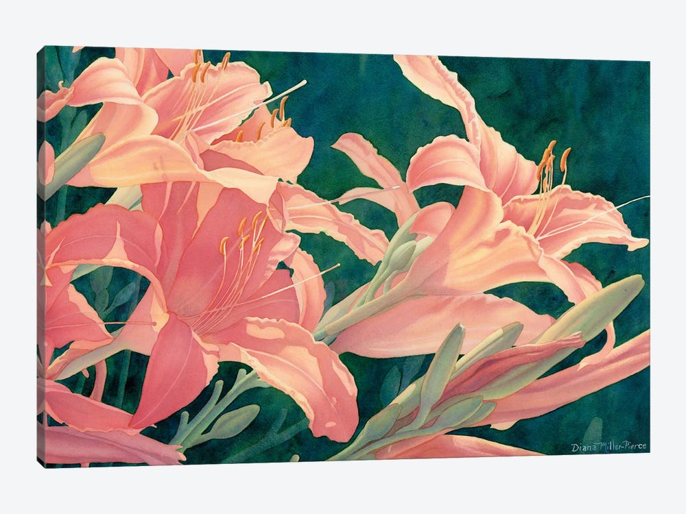All In A Day-Day Lilies by Diana Miller-Pierce 1-piece Art Print
