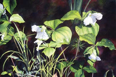 April Showers Bring... by Diana Miller-Pierce canvas print