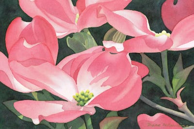 Arabesque by Diana Miller-Pierce art print