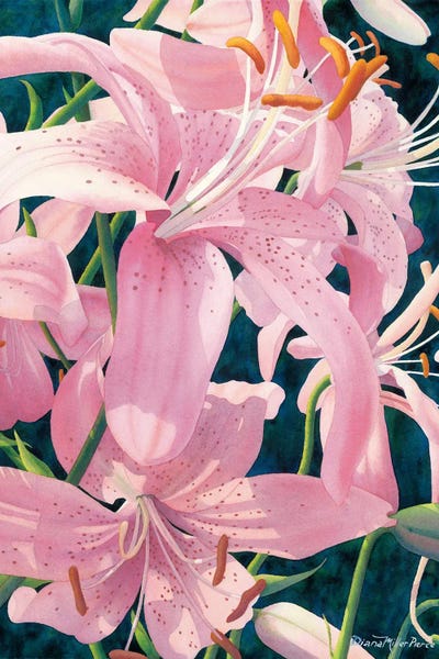 Asiatic Splendor-Tiger Lilies by Diana Miller-Pierce canvas print