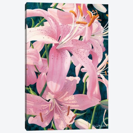 Asiatic Splendor-Tiger Lilies Canvas Print #DMP16} by Diana Miller-Pierce Canvas Artwork