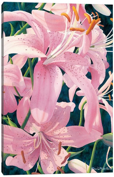 Asiatic Splendor-Tiger Lilies Canvas Art Print - Diana Miller-Pierce
