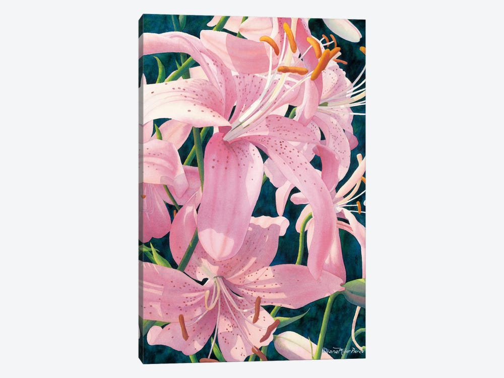 Asiatic Splendor-Tiger Lilies by Diana Miller-Pierce 1-piece Canvas Artwork