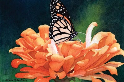 Bejeweled-Monarch Butterfly by Diana Miller-Pierce art print