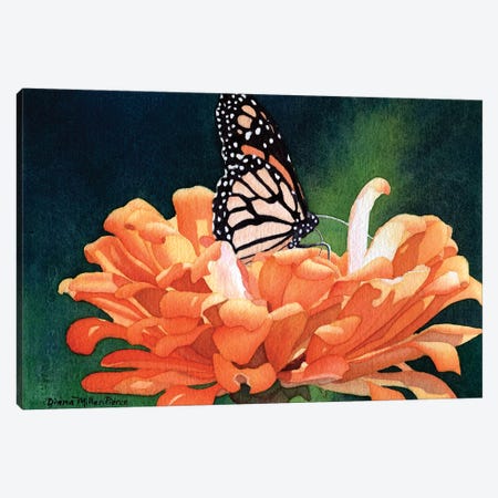 Bejeweled-Monarch Butterfly Canvas Print #DMP18} by Diana Miller-Pierce Canvas Print