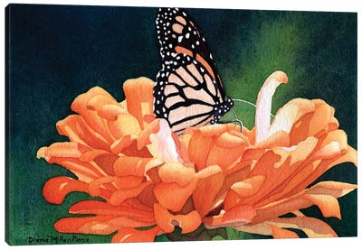 Bejeweled-Monarch Butterfly Canvas Art Print - Chrysanthemum Art
