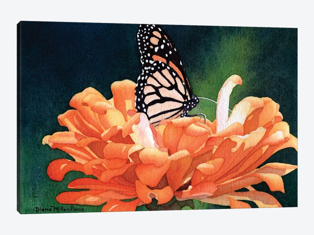 Bejeweled-Monarch Butterfly by Diana Miller-Pierce 1-piece Canvas Art