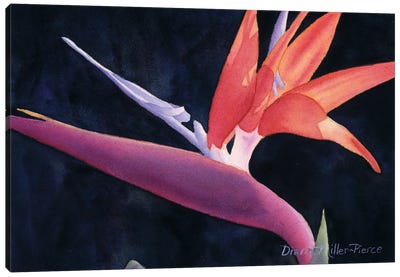 A Bird Of A Different Color Canvas Art Print - Diana Miller-Pierce