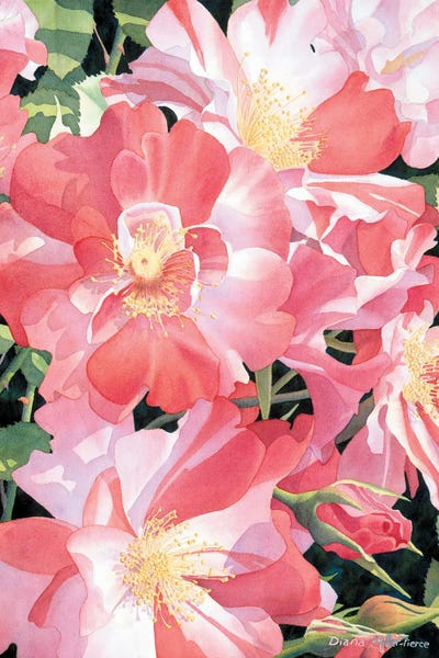 Candystripes And Roses by Diana Miller-Pierce canvas print