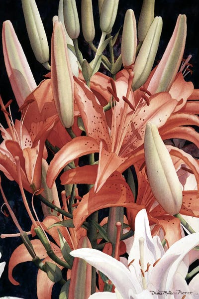 Crowning Glory by Diana Miller-Pierce canvas print