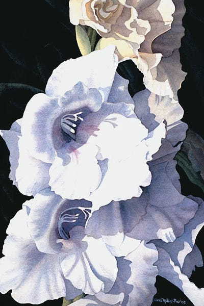 Curls And Furls by Diana Miller-Pierce framed wall art