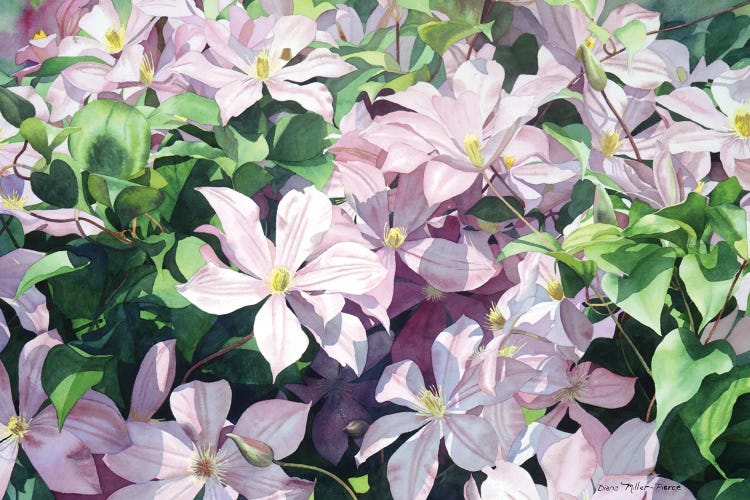 Debut IV by Diana Miller-Pierce wall art