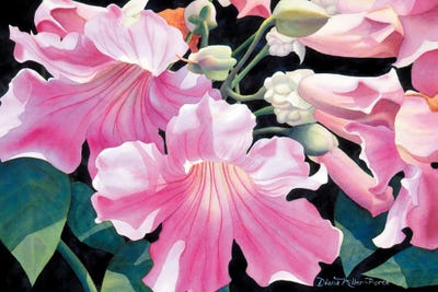 Debutante's Fantasy by Diana Miller-Pierce art print