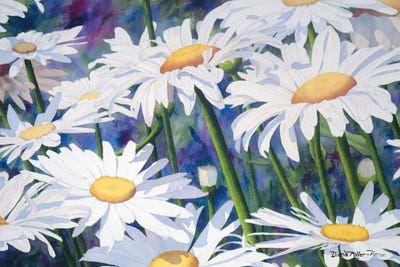 Don't Count The Daisies by Diana Miller-Pierce framed wall art