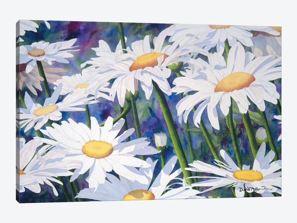 Don't Count The Daisies by Diana Miller-Pierce 1-piece Canvas Art Print