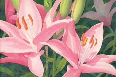 Duo In Pink-Lily by Diana Miller-Pierce canvas print