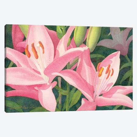 Duo In Pink-Lily Canvas Print #DMP34} by Diana Miller-Pierce Canvas Artwork