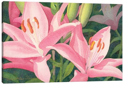 Duo In Pink-Lily Canvas Art Print - Diana Miller-Pierce