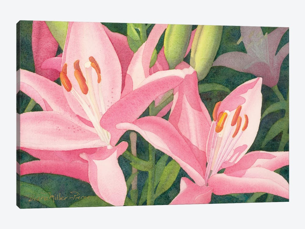 Duo In Pink-Lily by Diana Miller-Pierce 1-piece Canvas Wall Art
