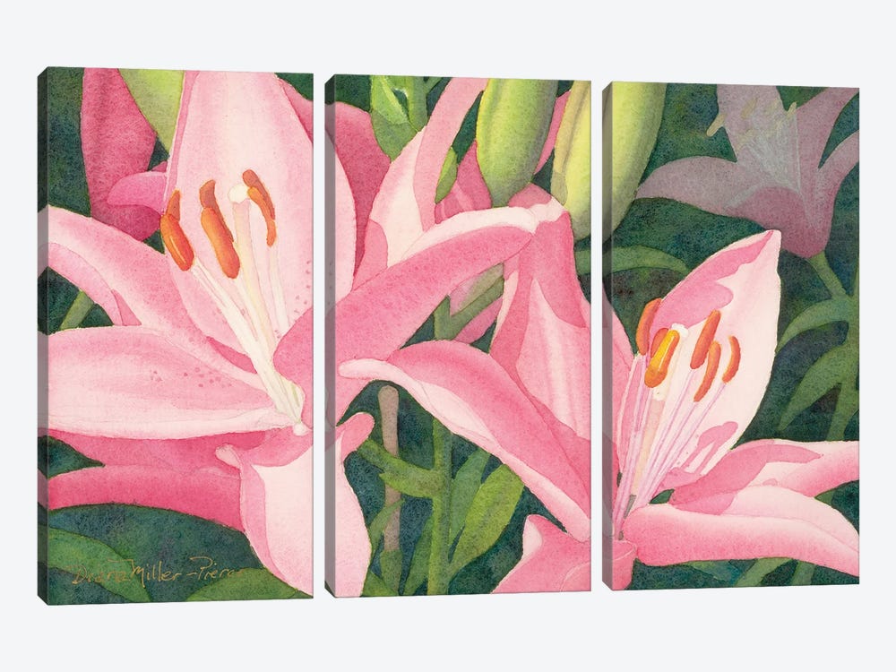 Duo In Pink-Lily by Diana Miller-Pierce 3-piece Canvas Wall Art