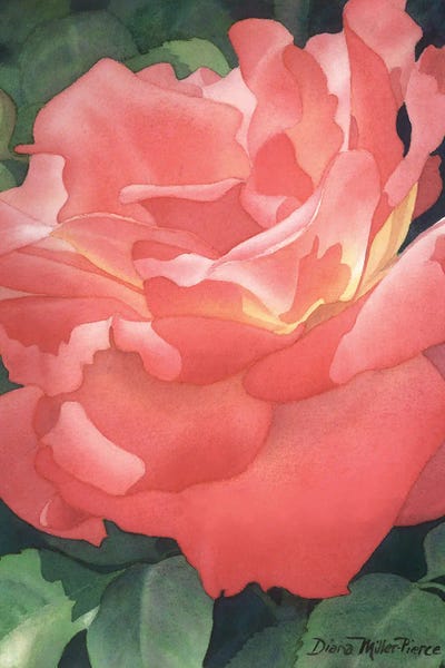 Embers Of A Rose by Diana Miller-Pierce canvas print