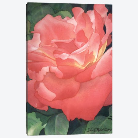 Embers Of A Rose Canvas Print #DMP37} by Diana Miller-Pierce Canvas Artwork